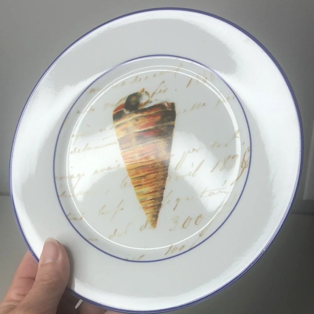Williams Sonoma Set Seashell Salad Dessert Luncheon Plates